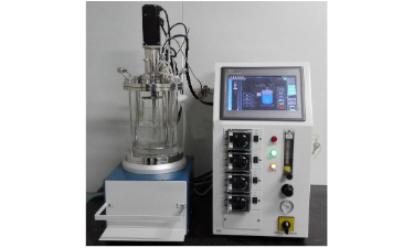 玻璃發(fā)酵罐