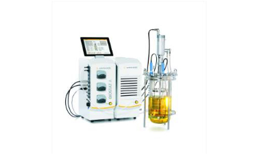 玻璃發(fā)酵罐