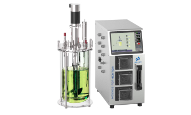 玻璃發(fā)酵罐