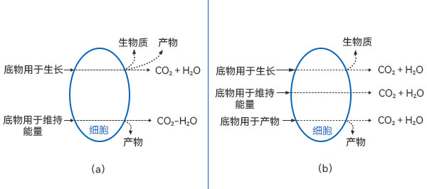 底物消耗的質(zhì)量衡算圖 底物消耗的質(zhì)量衡算圖