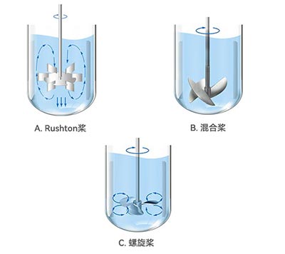 霍爾斯發(fā)酵罐不同類型槳葉 霍爾斯發(fā)酵罐不同類型槳葉