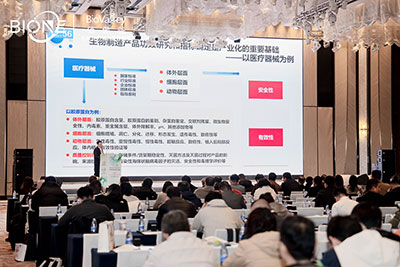 峰會會議現(xiàn)場圖2 峰會會議現(xiàn)場圖2